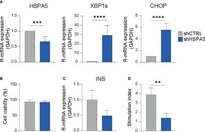 Extracellular vesicles derived from stressed beta cells mediate monocyte activation and contribute to islet inflammation